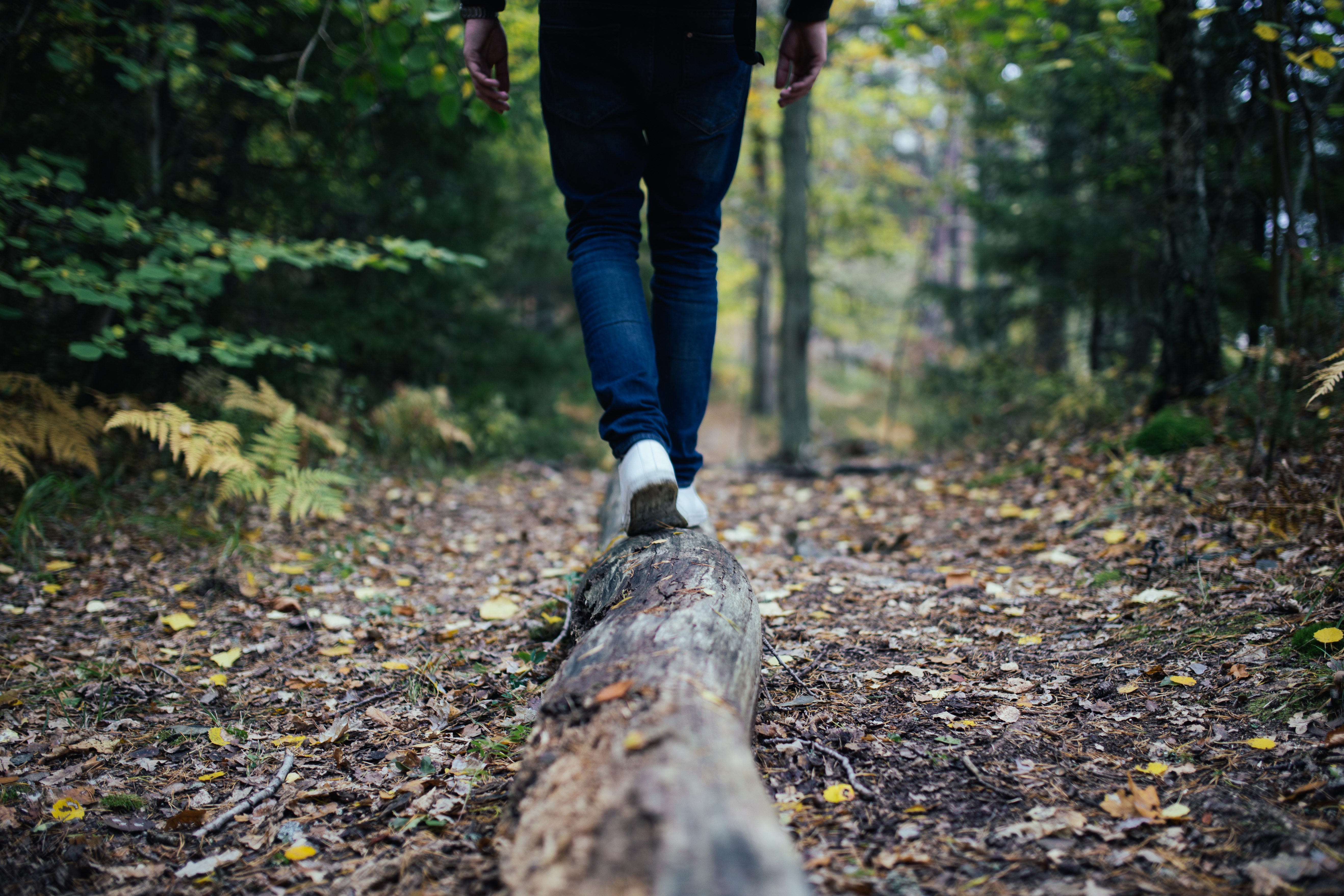 Girl walking on a log in the woods 