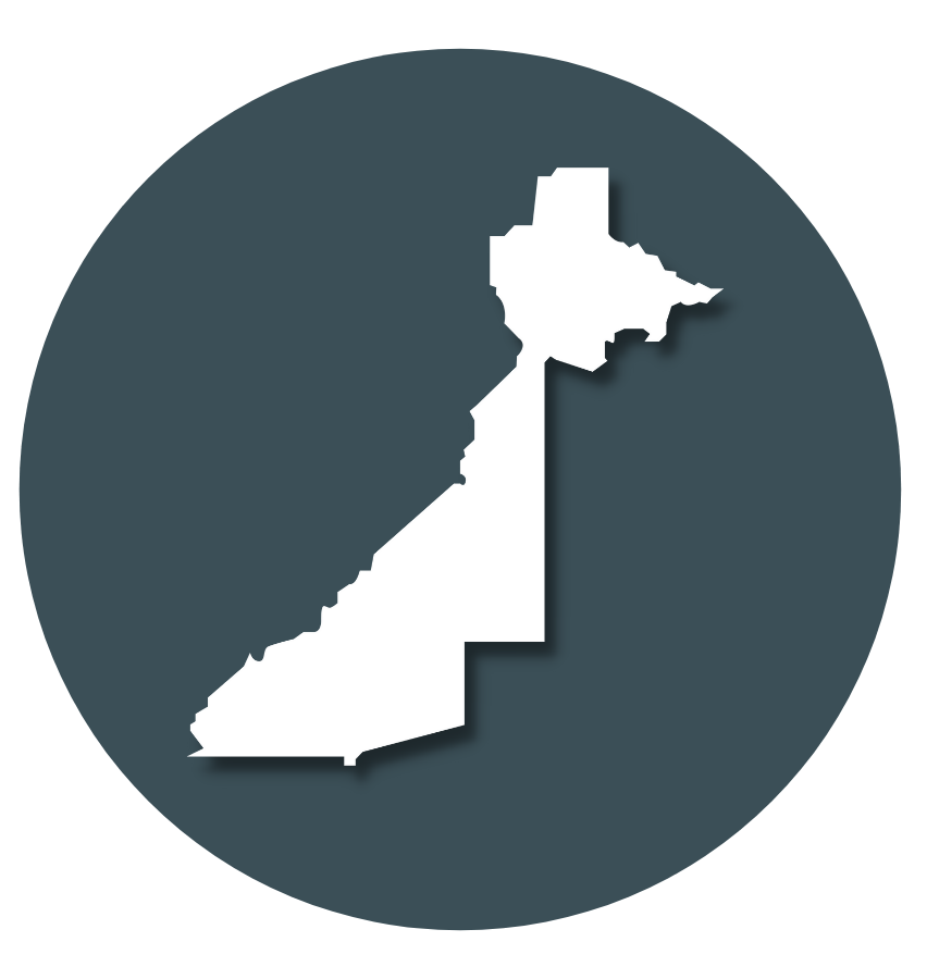 Bringing Your Sequential Intercept Model Mapping Workshop To Life Part