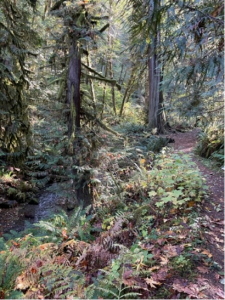 Twanoh State Park