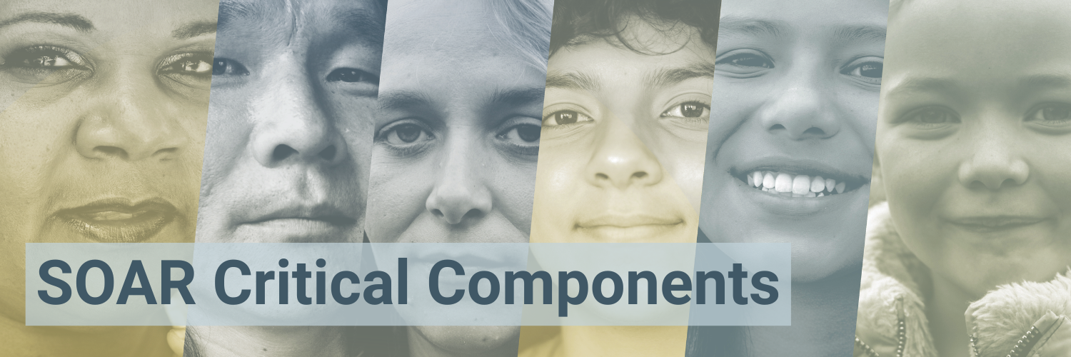 SOAR Critical Components SOAR Critical Components